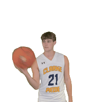 Mens Basketball Sticker by Clarke University