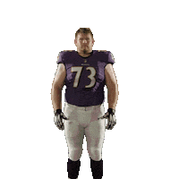 Two Thumbs Up Sticker by Baltimore Ravens