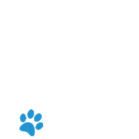 Boylesportsigd Sticker by Go Greyhound Racing