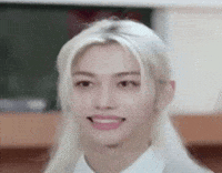 Stray Kids Skz GIF