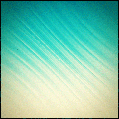 gif artist perfect loop GIF by Erica Anderson