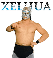 Lucha Libre Wwe Sticker by FilmmakerLife