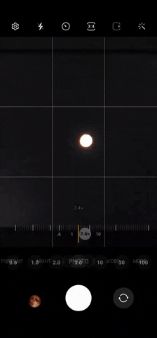 MicheleGiz giphyupload GIF