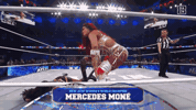 Fight Wrestling GIF by DAZN
