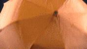 womens golf GIF by LPGA