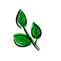 Verde Hojas Sticker