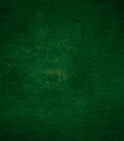 Ich Bin Ein Star Catwalk GIF by RTLde