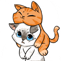 Cat Love GIF by UpStudiosWorld