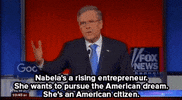 jeb bush news GIF