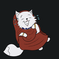 Laughing Out Loud Cat GIF