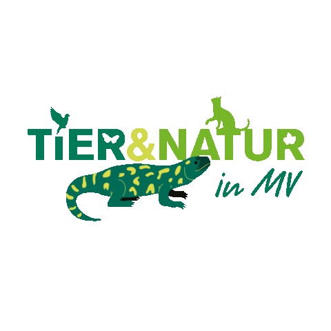 Rostock Sticker by inRostock GmbH HanseMesse