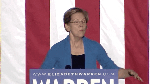 Elizabeth Warren Rally GIF by Election 2020