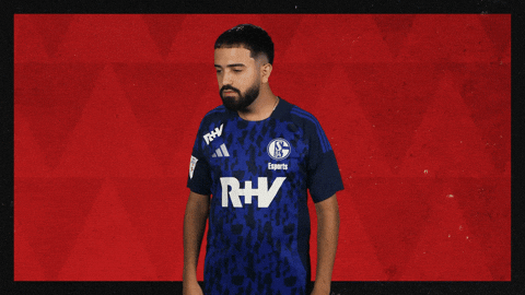 Schalke 04 What GIF by Bundesliga