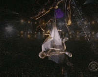 Thegrammys GIF by Recording Academy / GRAMMYs