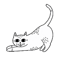 Funny Cat Sticker by STRAYZ