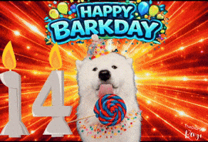 Birthday Benji GIF