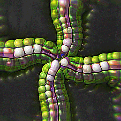 animation love GIF by POST-WEB