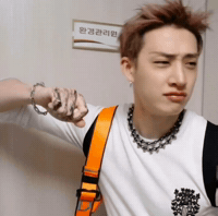 Stray Kids Skz GIF
