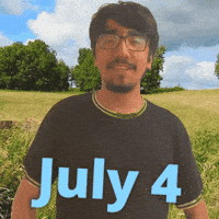 4Th Of July GIF
