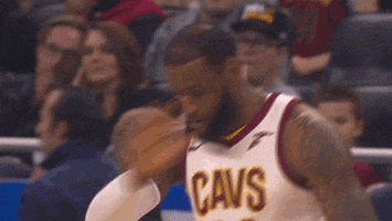 lebron james GIF by NBA