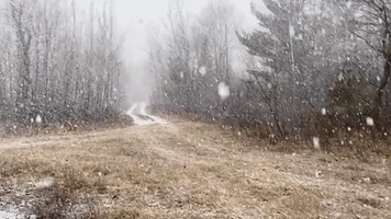 Snow Showers Bring Heavy Flurries to Northern Wisconsin