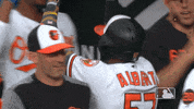 Major League Baseball Sport GIF by MLB