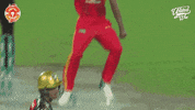 league cricket GIF by Islamabad United