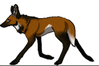 wolf STICKER