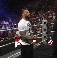 Roman Reigns GIF