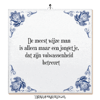 Humor Wijsheid Sticker by Tegelspreuken.nl