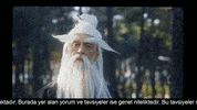 hokusfilm training master kungfu hokus GIF