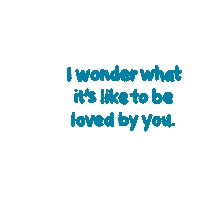Shawn Mendes Wonder Sticker