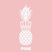 Pine GIF by pineperfect