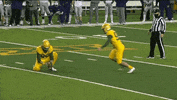Baylor University Hype GIF by Baylor Athletics