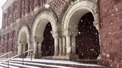 Snow Hls GIF by Harvard Law School