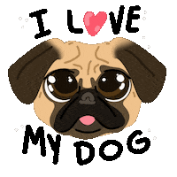 Dog Pug Sticker