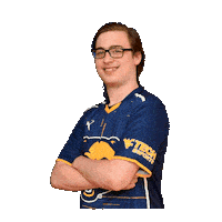 Esports Overwatch Sticker by WVU Tech Golden Bears