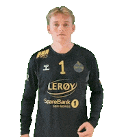 Bergen Rema1000Ligaen Sticker by Norsk Topphåndball