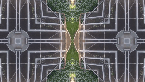 Art Film GIF by jorgemariozuleta