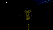 GIF by Michigan Athletics