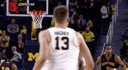 GIF by Michigan Athletics