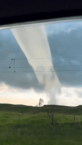 kingkaps7 giphyupload kingkaps7 damn nature wow GIF