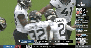Jacksonville Jaguars Football GIF by NFL