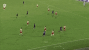 Castrovilli GIF by nss sports
