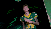 Bison GIF by NDSU Athletics