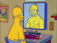 homer simpson GIF