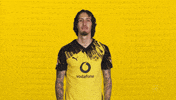Borussia Dortmund Silva GIF by Bundesliga