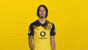 Borussia Dortmund Silva GIF by Bundesliga