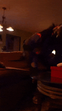 Sit Down Relax GIF
