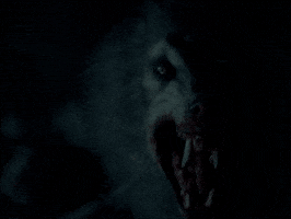 werewolfdaily werewolf ginger snaps werewolfdaily GIF
